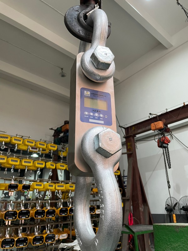 12t测力仪维护效率提升